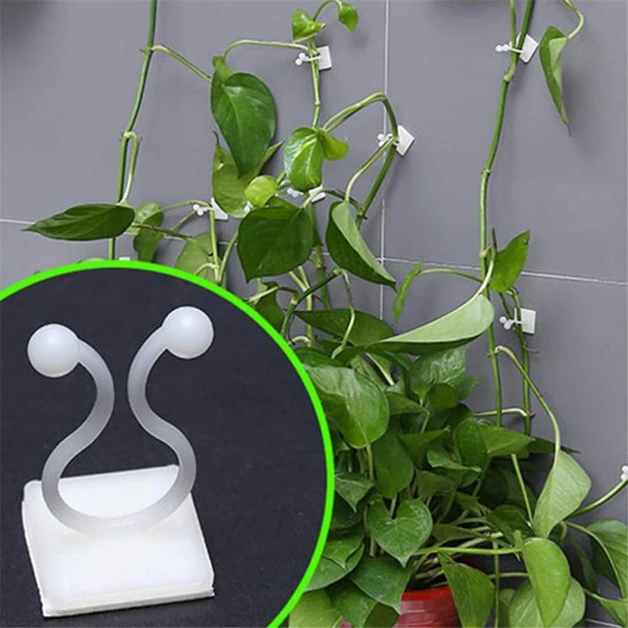 SpiderJuice 30Pc Multipurpose Adhesive Vine Wale Money Plant Wall Fixing Twist Support Clips - Image 7