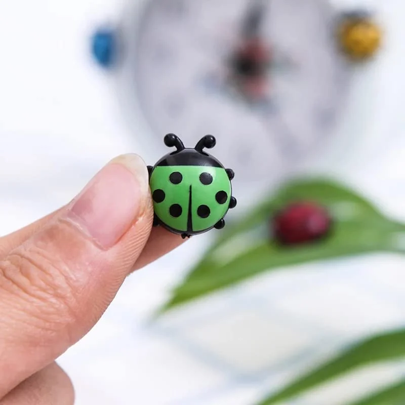 SpiderJuice 6Pcs Of Ladybug Shape Refrigerator Magnet - Image 4